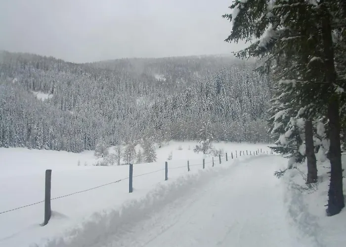 Apartament Droneberger-huette